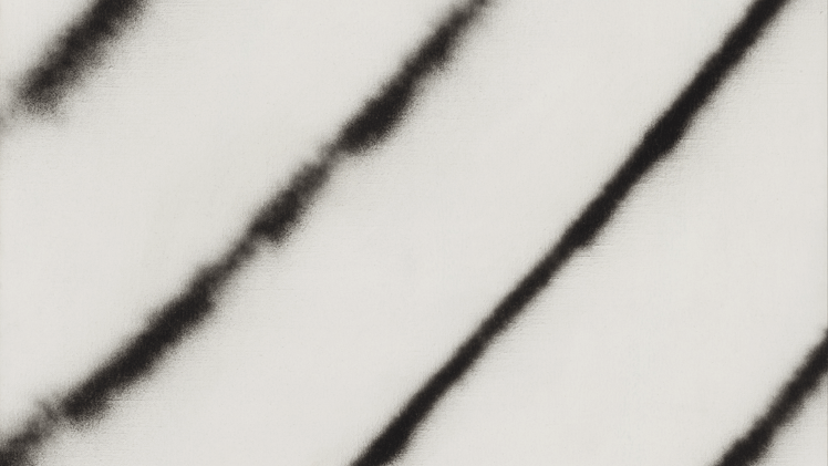 Martin barré. Les œuvres de la fondation Gandur au musée des Beaux-Art